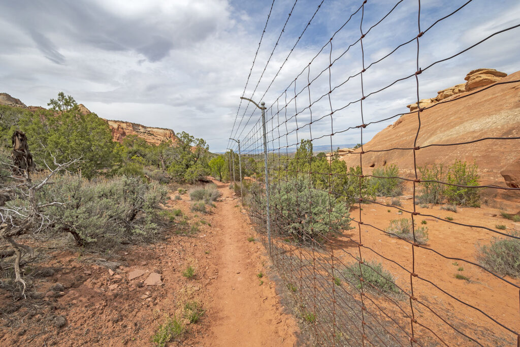 border fence in the wilderness